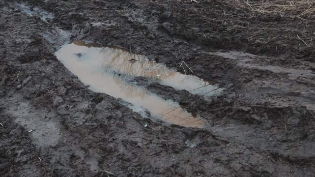 A muddy patch in an open field, great for outdoor or rustic-themed designs