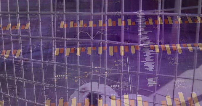 White dog lifting head in kennel, causing orange bars and ticks multiplying for shelter analytics