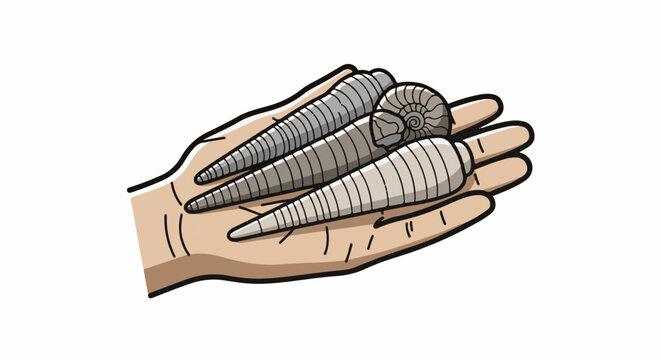 Hand holding ancient spiral and cone-shaped fossils