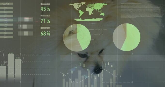 HUD overlay appearing over close-up white dog, driving charts animating and dog shifting for data