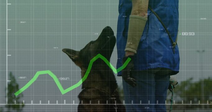Handler entering, dog at heel watching, animated green chart aligning with hand during training
