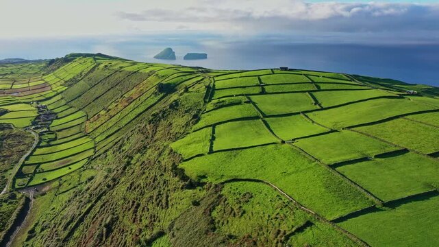 Aerial view of lush green pastures divided by traditional stone walls on a hillside overlooking the Atlantic Ocean and distant islands in Ribeirinha, Azores, Portugal.