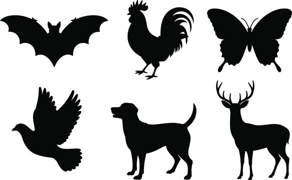 Vector File Bird Dogs