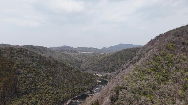 Aerial drone slow pan over forest river, cinematic nature landscape 30s 4K