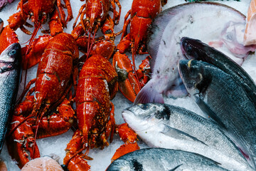 Seafood selection with red lobsters and fresh fish on ice. Top view of a luxury market display...