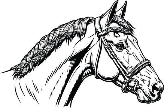 Abstract motion blur of asphalt road surface with diagonal light streaks creating dynamic texture background representing speed movement urban travel concept and modern transportation design