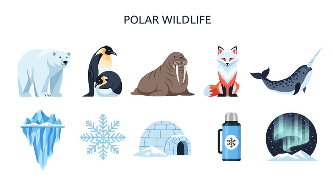 Polar wildlife and icy landscape icons.