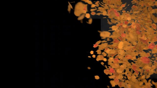 autumn maple leaves being blown off the screen