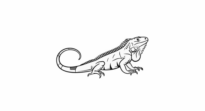 Stylized black and white outline illustration of an iguana on a white background