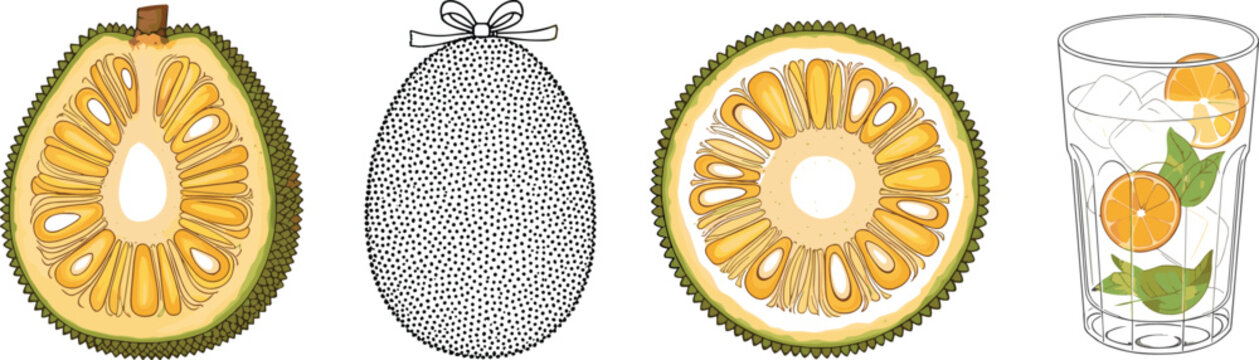 Jackfruit Vector Illustration Set with Whole Cut and Outline Jackfruit and Refreshing Fruit Drink Glass Tropical Exotic Food Design Collection