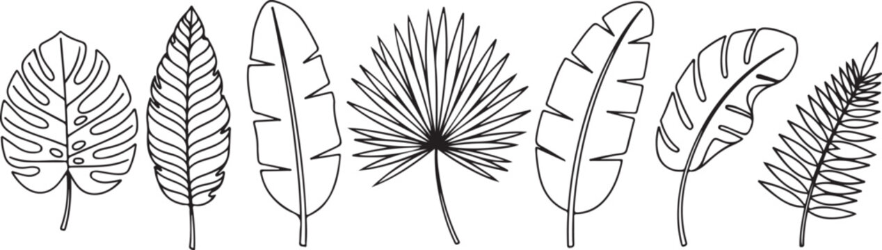 Diverse leaf shapes illustrate the variety in foliage across different plant species Vector