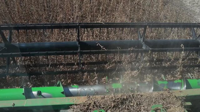 Slow Motion Combine Harvester Harvesting Soybeans in Agricultural Field