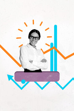 Vertical image trend pop zine photo collage of happy freelancer businesswoman hold laptop arrow progress pointer development