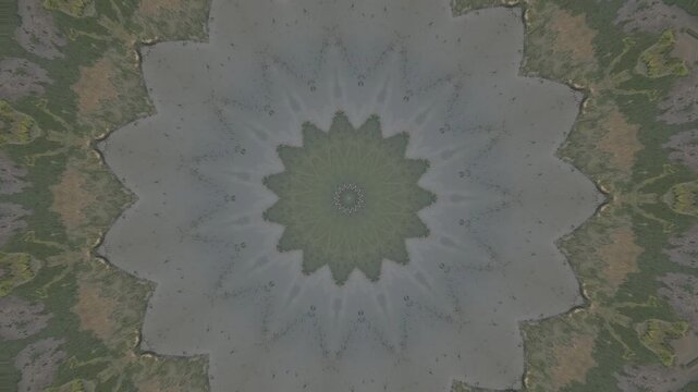 abstract grunge background with flowers