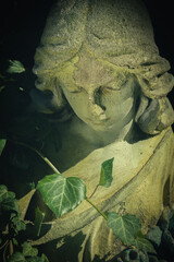 Fototapeta premium Angel statue surrounded by ivy and greenery, symbolizing peace, protection, and quiet emotional reflection in a natural and spiritual environment.