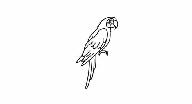 Minimalist outline of a parrot perched on a branch