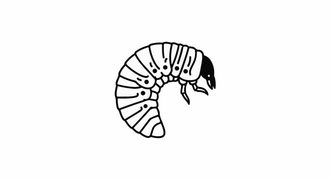 A stark black and white illustration of a curled insect grub with segmented body