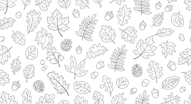 Autumnal line drawing pattern depicts a variety of fallen leaves acorns and pine cones scattered across a clean white background.