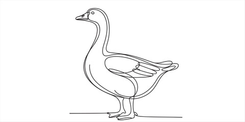 Minimalist continuous line drawing of a white goose standing calmly on a plain white background Vector, illustration © Kanu Art_Gallery