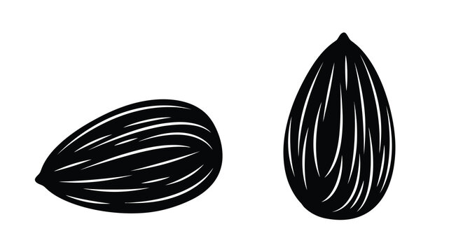 Two almonds depicted in a striking black and white silhouette