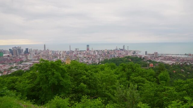 Green hill overlooking coastal city skyline lush trees frame dense urban buildings, distant harbor with ships on calm ocean under overcast sky, wide panoramic aerial perspective capturing