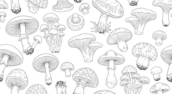 Intricate seamless pattern featuring diverse mushroom varieties in a classic black and white vintage engraving style.