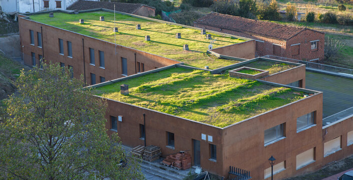 Environmental sustainability green roofs in public buildings