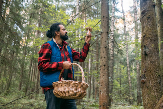 A mushroom picker man with a basket holds a mushroom in his hands in the forest.