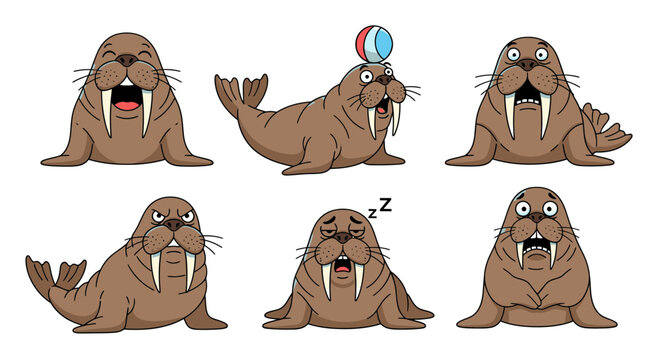 Cartoon walruses expressing various emotions and actions 