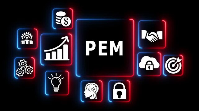 P e m for project management efficiency business strategy concept with financial and teamwork