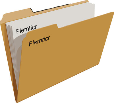 File folder illustration with documents representing data organization storage management office paperwork and business filing system concept