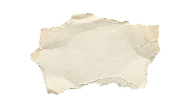 Blank aged parchment paper scrap with torn deckle edges