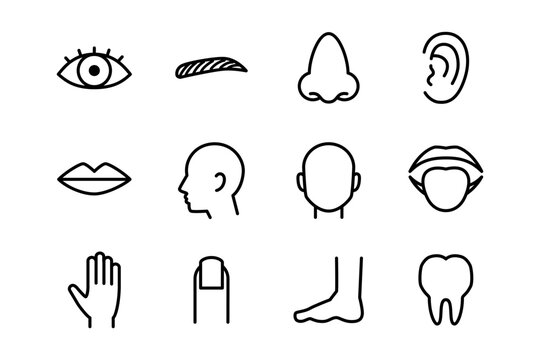 人体パーツの線画アイコン イラストセット 