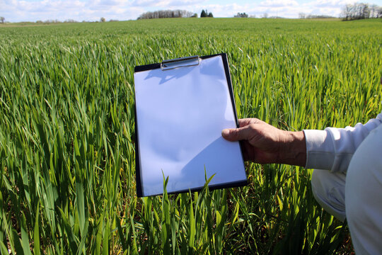 Main technicien agricole tenant un bloc note blanc vide dans un champ de bl&eacute; agricole