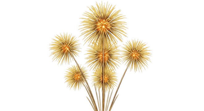 Ginger root with fibrous texture and earthy appearance isolated on transparent background