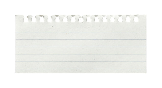 Small piece of torn lined notebook paper with ring holes