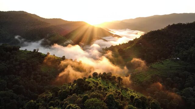 Golden Sunrays over Western Ghats Foggy Landscape Maharashtra India