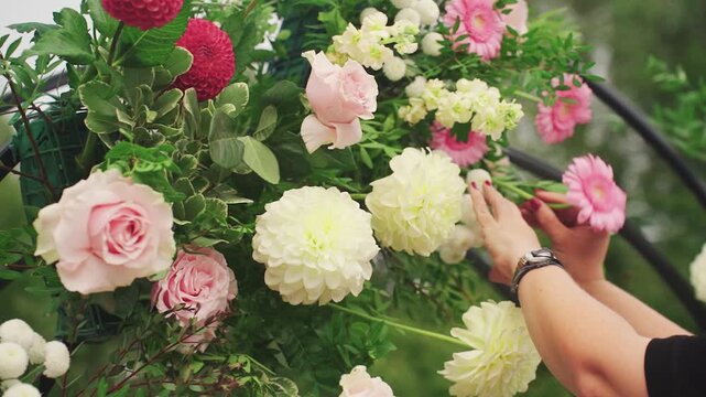 Arranging delicate wedding floral display. Expert florist carefully perfecting bridal floral arch arrangement. Meticulous placement of soft pastel roses and dahlias for elegant wedding decor