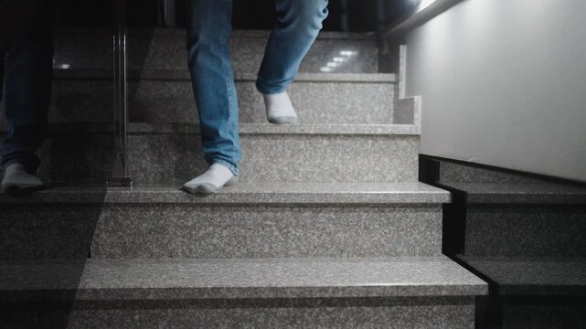 Person and Jack Russell Terrier Walking Down Stairs Together. Close-up of a person in jeans and a dog descending stone steps in a home. Concept of pet companionship, daily routine, home safety