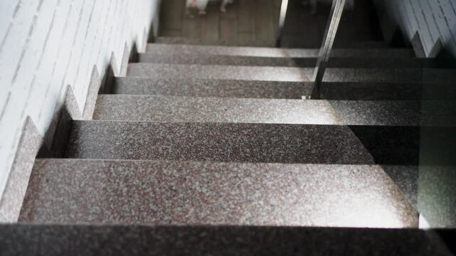 Jack Russell Terrier Dog Walking Down Stairs at Night, Indoors. White and brown dog carefully descending modern steps at home. Dimly lit indoor scene showing pet behavior and home interior at night