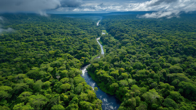 An aerial view over the continuous emerald-green canopy of the Amazon rainforest extending to every horizon, the tree canopy forming a textured carpet of infinite variations of green