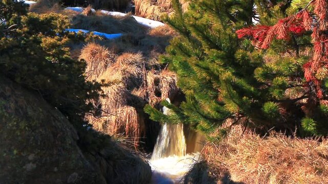 Stream in Font Romeu at the end of winter, flowing through the fields.
20-second fixed-shot video. Water running through the Pyrenees in winter.
