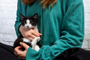 Naklejka premium mały kotek czarno-biały na rękach