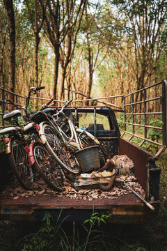 Lostplace Wald
