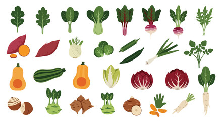 Fototapeta premium A vibrant assortment of fresh, raw vegetables and root crops, including leafy greens, squash, and legumes, on a white background.