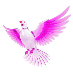 Obraz premium A pink dove in flight with wings spread
