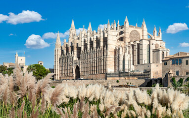  La Seu Cathedral and Parc de la Mar in Palma de Mallorca - 6603