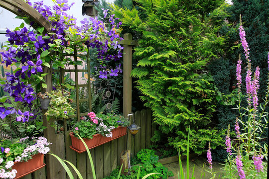 Garten mit vielen Pflanzen und Deko im Sommer 