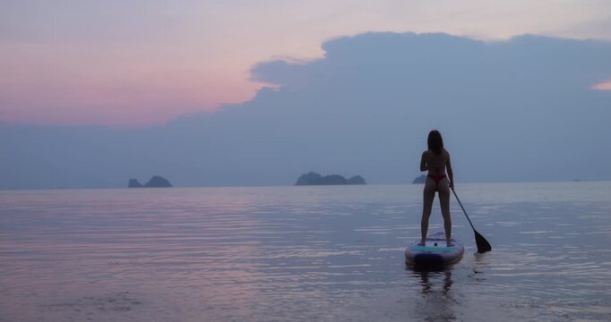 Silhouette of graceful woman rows SUP board with paddle in tranquil sunset sea backside view. Female athlete stands on balancing surfboard against cloudy sky