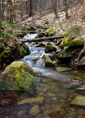 Górski strumień w wiosennym lesie pośród kamiennych głazów © kubikactive